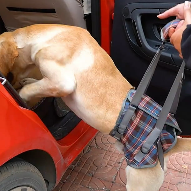 BeesClover Pet Dog Leg Support Sling Adjustable Retractable