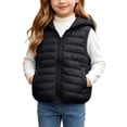 thumbnail image 2 of BLVB Boys Girls Hooded Puffer Vest Winter Lightweight Sleeveless Cute Ears Zipper up Jacket Waistcoat for Kids(Black,10-11 Years), 2 of 9