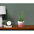 thumbnail image 3 of 6 inch Ombre Diamond Pot, 3 of 3
