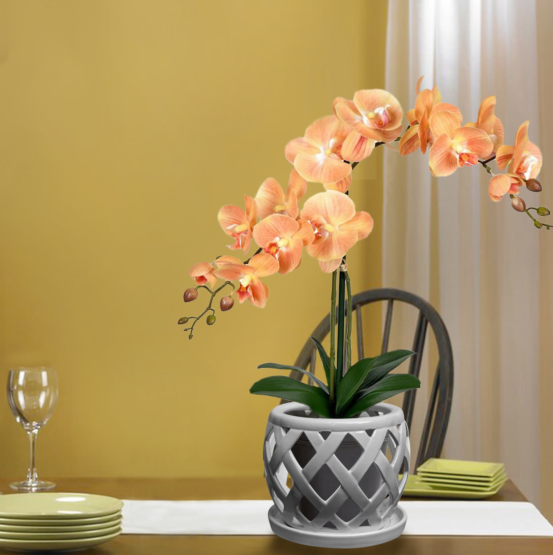 Orchid Pot 6 Inch Ceramic Plant Flower Pots with Holes and Saucer