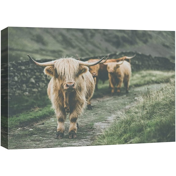 wall26 Canvas Print Wall Art Washed Out Scotland Highland Country Cow Nature Animals Photography Realism Rustic Scenic Landscape Wilderness Zen Colorful for Living Room, Bedroom, Office - 12"x18