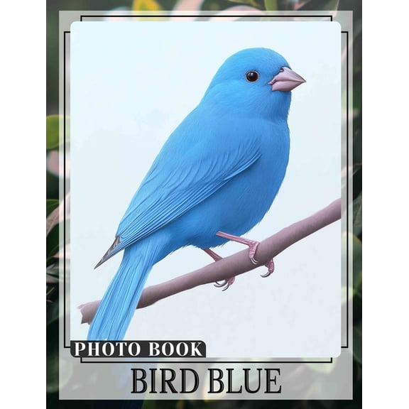 Bird Blue Photo Book: Vibrant 40-Image Collection Of Beautiful Blue Birds For Nature Lovers To Enjoy, (Paperback)