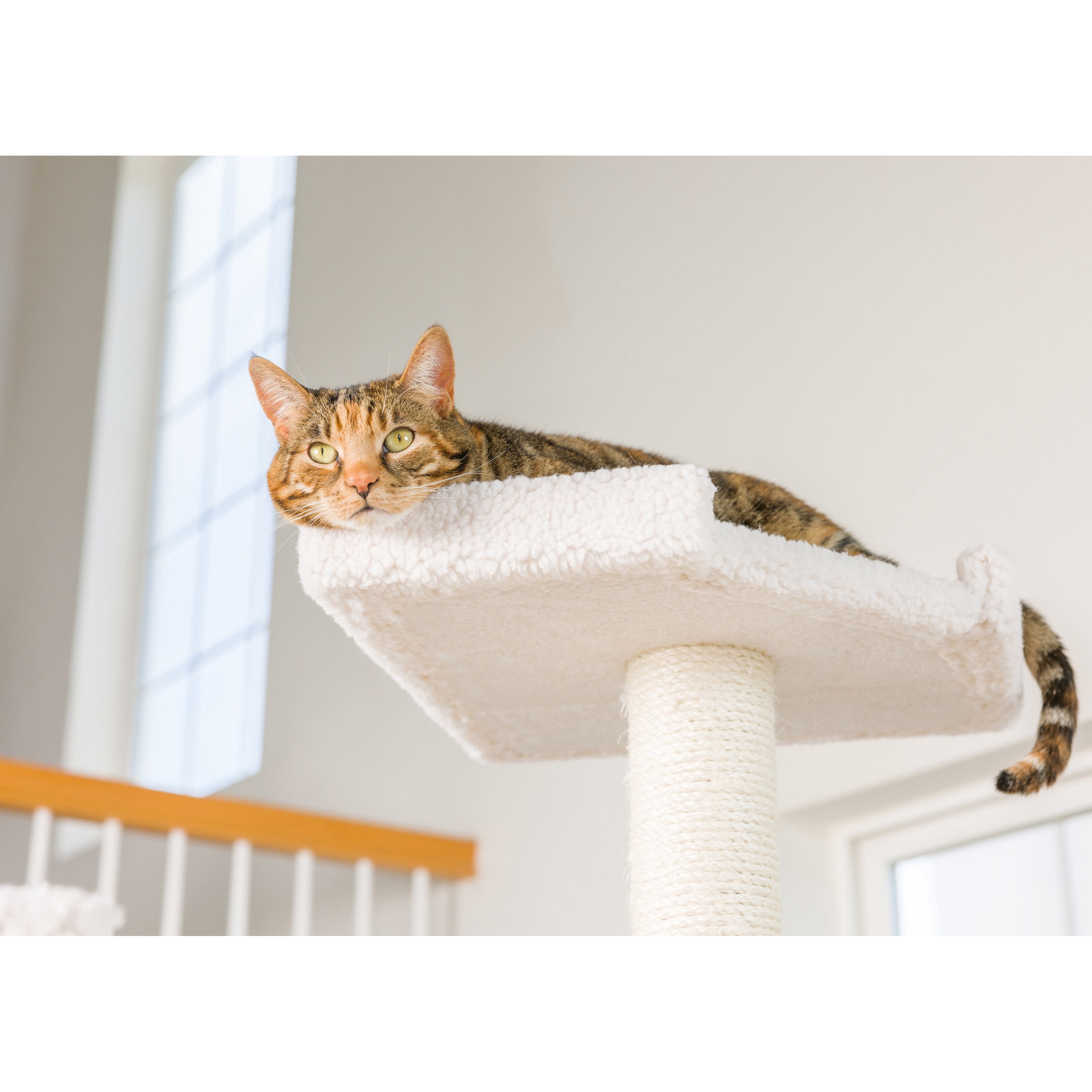 Armarkat 78-in Real Wood Cat Tree & Condo Scratching Post Tower, Beige