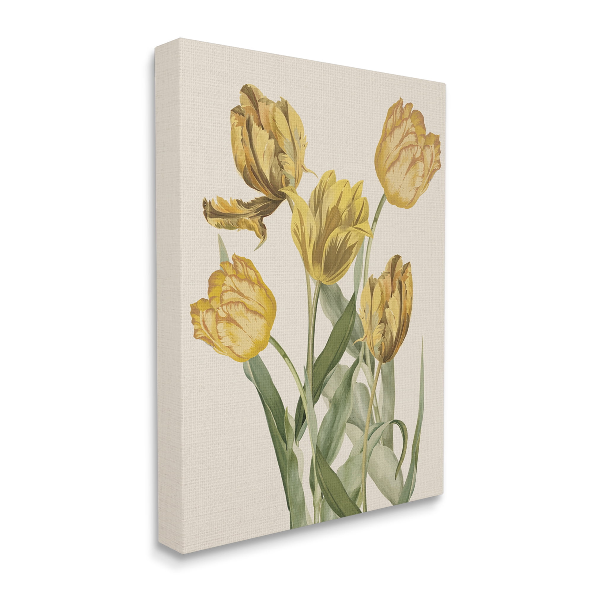 Stupell Industries Antique Yellow Tulips Botanical & Floral Painting Gallery Wrapped Canvas Art Print Wall Art, 24 x 30