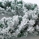 thumbnail image 4 of Decoración navideña de ratán blanco denso flocado, ratán para interiores y exteriores, para colgar en la puerta, árbol de Navidad de ratán, 4 of 5