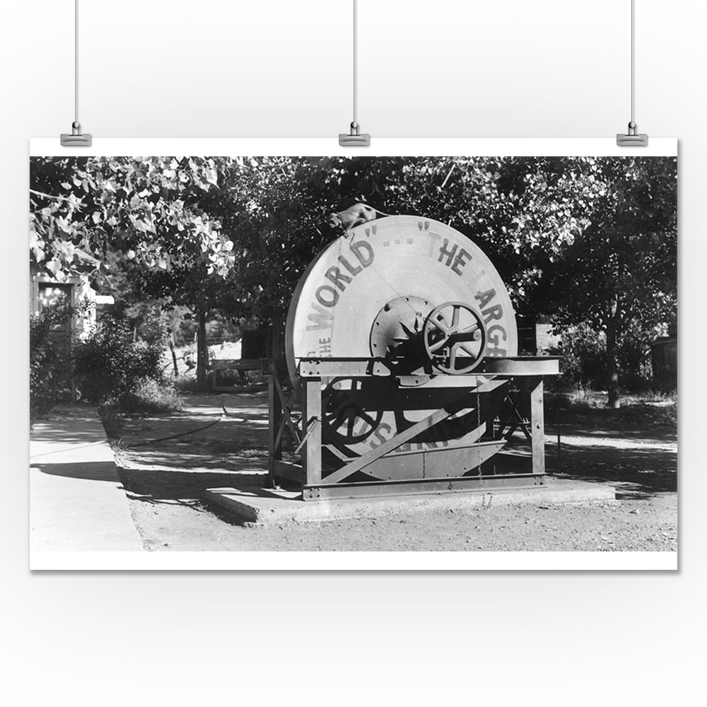 Redding, California View of the Worlds Largest Grindstone Buffalo