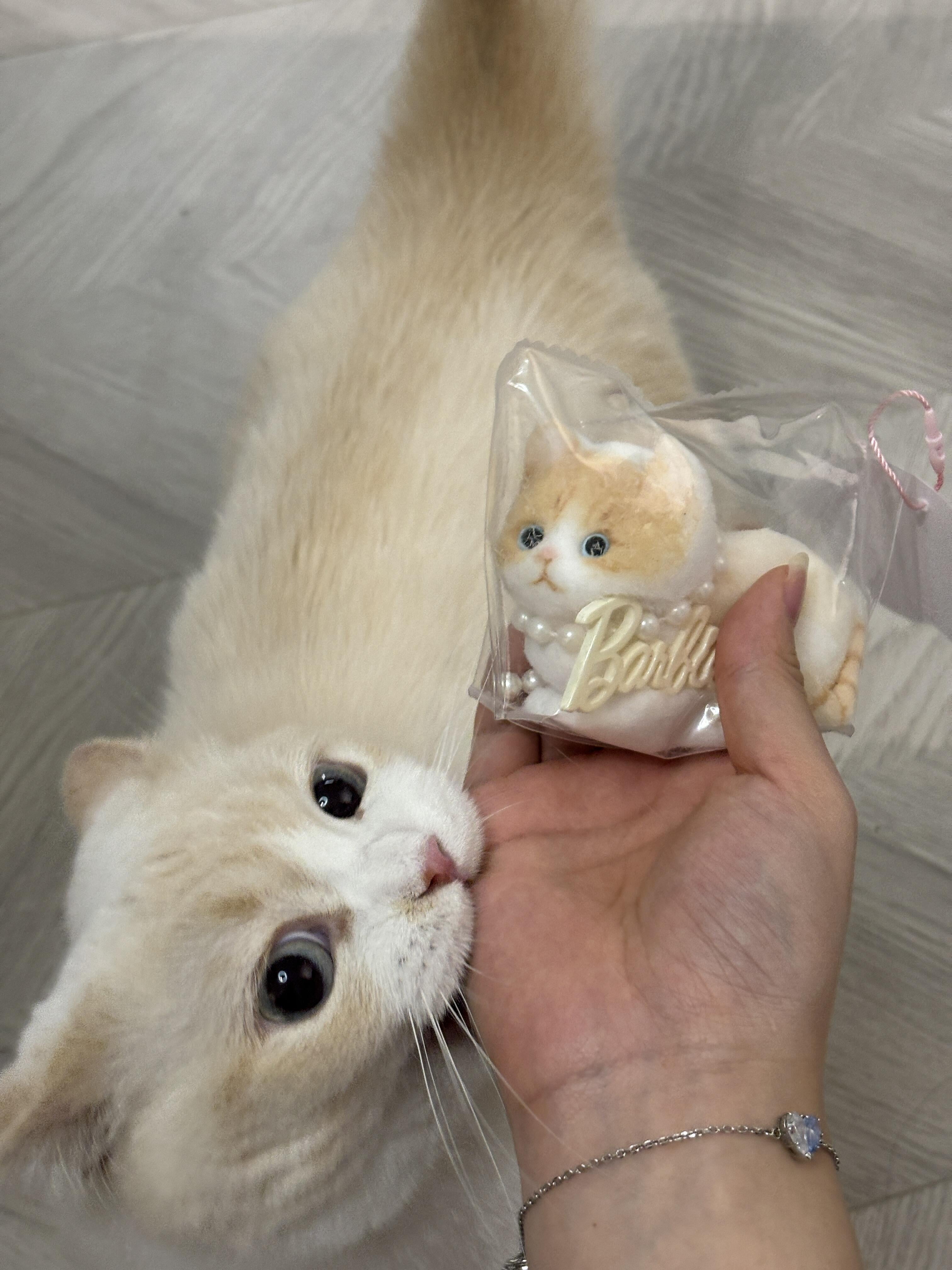 Soft Kitty Taba Squishy Toy Cat Fidget Toy, ASMR Sensory Cute Animal Squeeze Toy for Anti Stress Relief, Funny Christmas Party Gift for Children