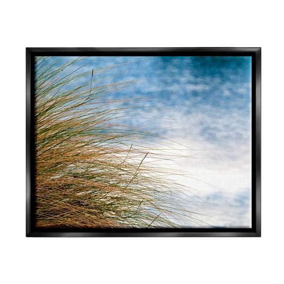 Stupell Industries Summer Beach Reed Grass Photography Photograph Jet Black Floating Framed Canvas Print Wall Art, Design by Mary Lou Photography