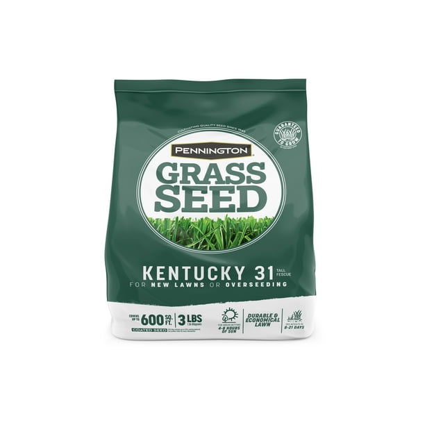 Pennington Kentucky 31 Tall Fescue Grass Seed, for Sun to Partial Shade