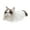 Ragdoll, variant on Indoor Fuzzy Winter Animal Cat Plush Slippers for Women and Men(Size 9-10.5, Ragdoll)