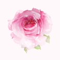 thumbnail image 2 of 3D Pop Up Valentine's Card - Pink Roses, 2 of 2