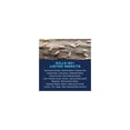 thumbnail image 2 of SBM BioAdvanced Carpenter Ant & Termite Killer Plus - Pack of 2, 2 of 2