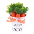 thumbnail image 1 of Cubo pequeño de Pascua para recolectar, ligero y versátil, para decoración de Pascua, ideal para celebraciones en el césped, fiestas en el jardín o en Lazo de lunares naranja, 1 of 8