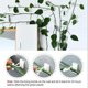 thumbnail image 3 of Clips de soporte para plantas trepadoras, 50 Uds., soporte de gancho autoadhesivo para montaje en pared para plantas trepadoras, decoración del hogar (blanco), 3 of 5