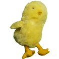 thumbnail image 1 of 4 Po Poussins&44; Marionnettes d'Animaux, 1 of 1