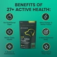 thumbnail image 5 of VetriScience 27+ Active Health Chews for Dogs, Veggie, 30 Count, 5 of 6