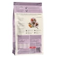 thumbnail image 2 of Good Gravy - Salmon Recipe with Ancient Grains - Adult - Dry Dog Food, 2 of 5