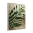 thumbnail image 3 of Stupell Industries Earthy Palm Leaf Wall Plaque Art design by Anna Lischenko, 14 x 11, 3 of 7