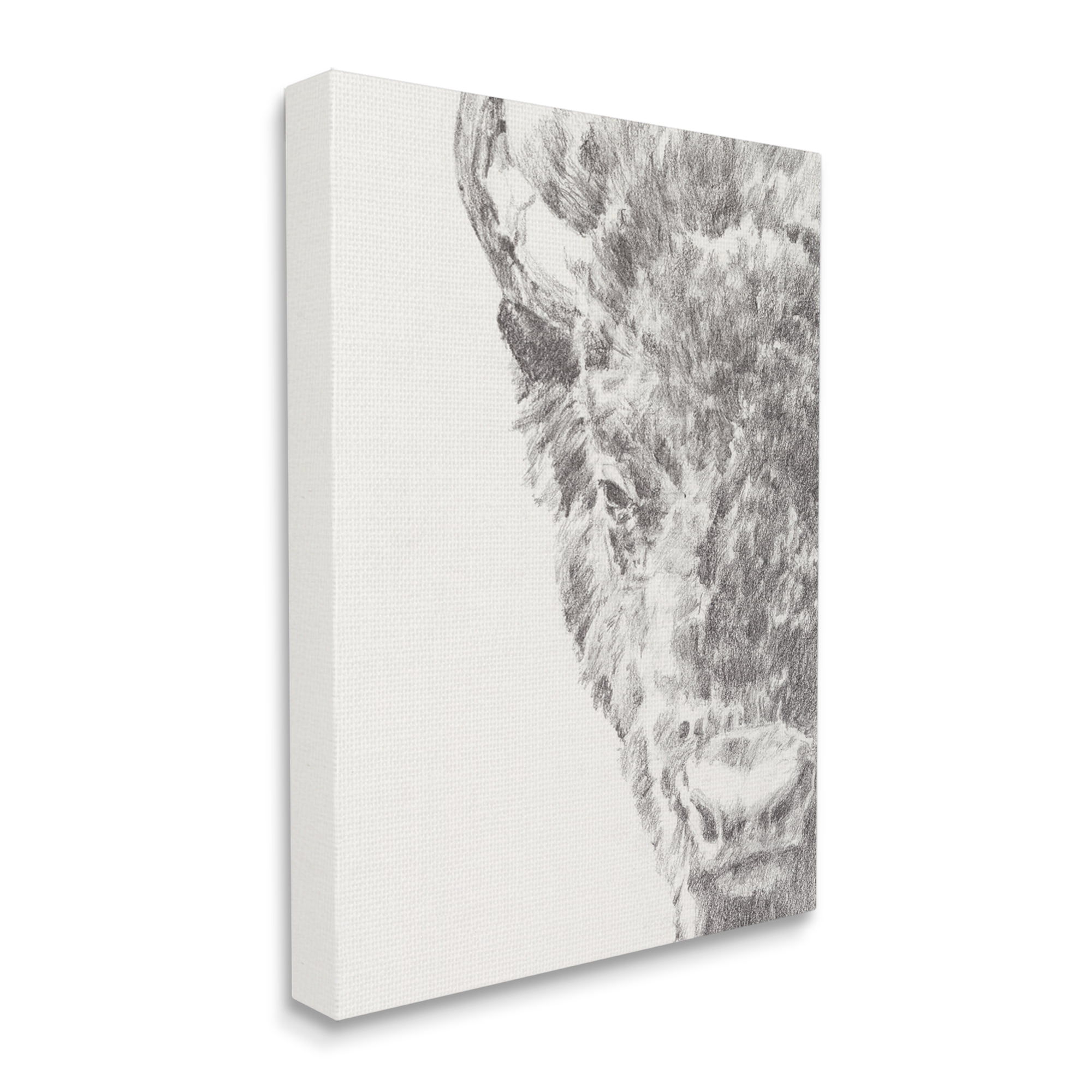 Stupell Industries Detailed Graphite Bison Rural Farm Animal Drawing Drawing Print Gallery Wrapped Canvas Print Wall Art, Design by Ethan Harper