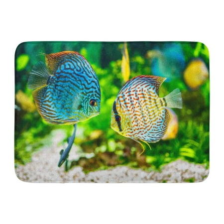 LADDKE Blue Fish Symphysodon Discus in Aquarium on Green Colorful Tropical Tank Doormat Floor Rug Bath Mat 23.6x15.7
