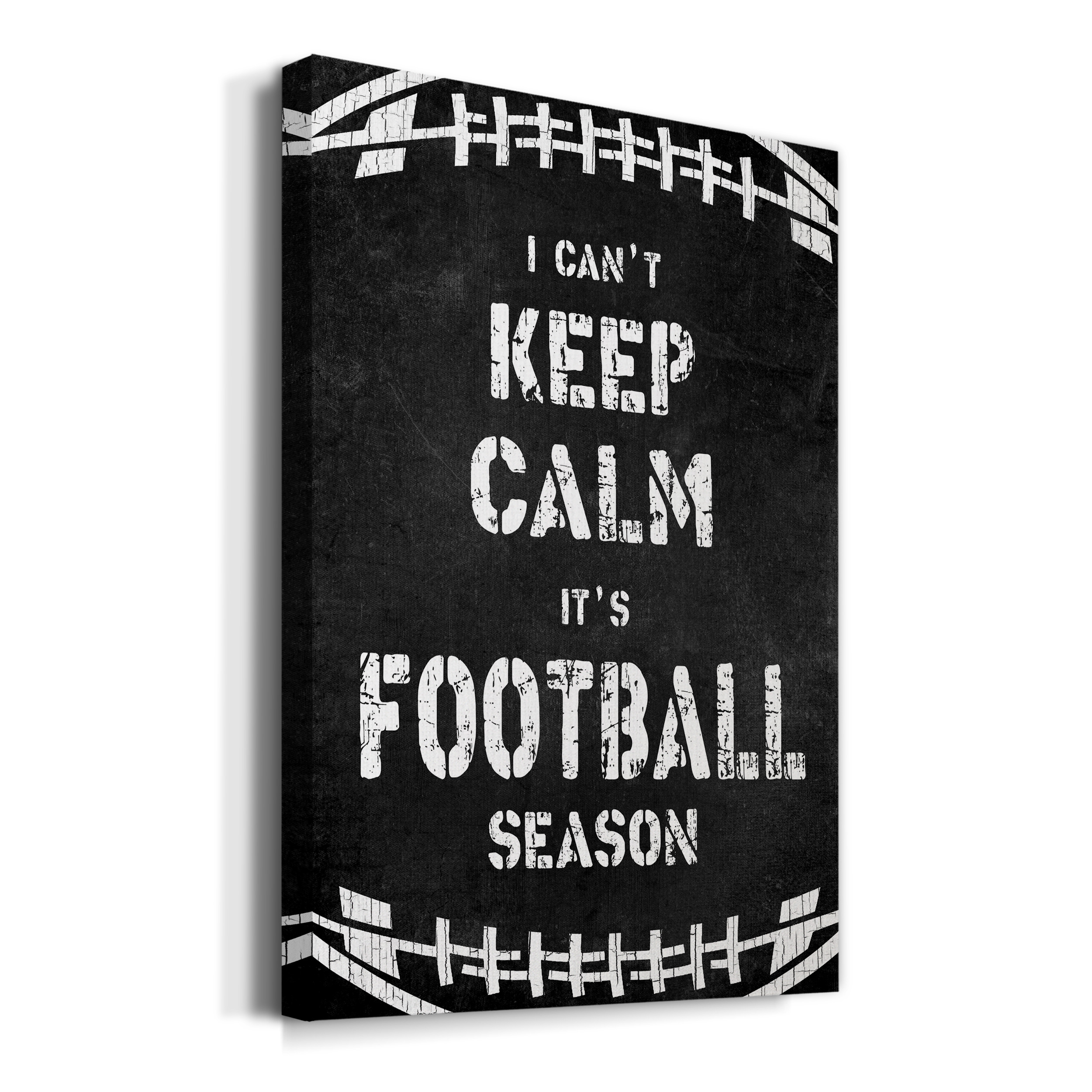 Can't Keep Calm Premium Gallery Wrapped Canvas - Ready to Hang - 24 x 36