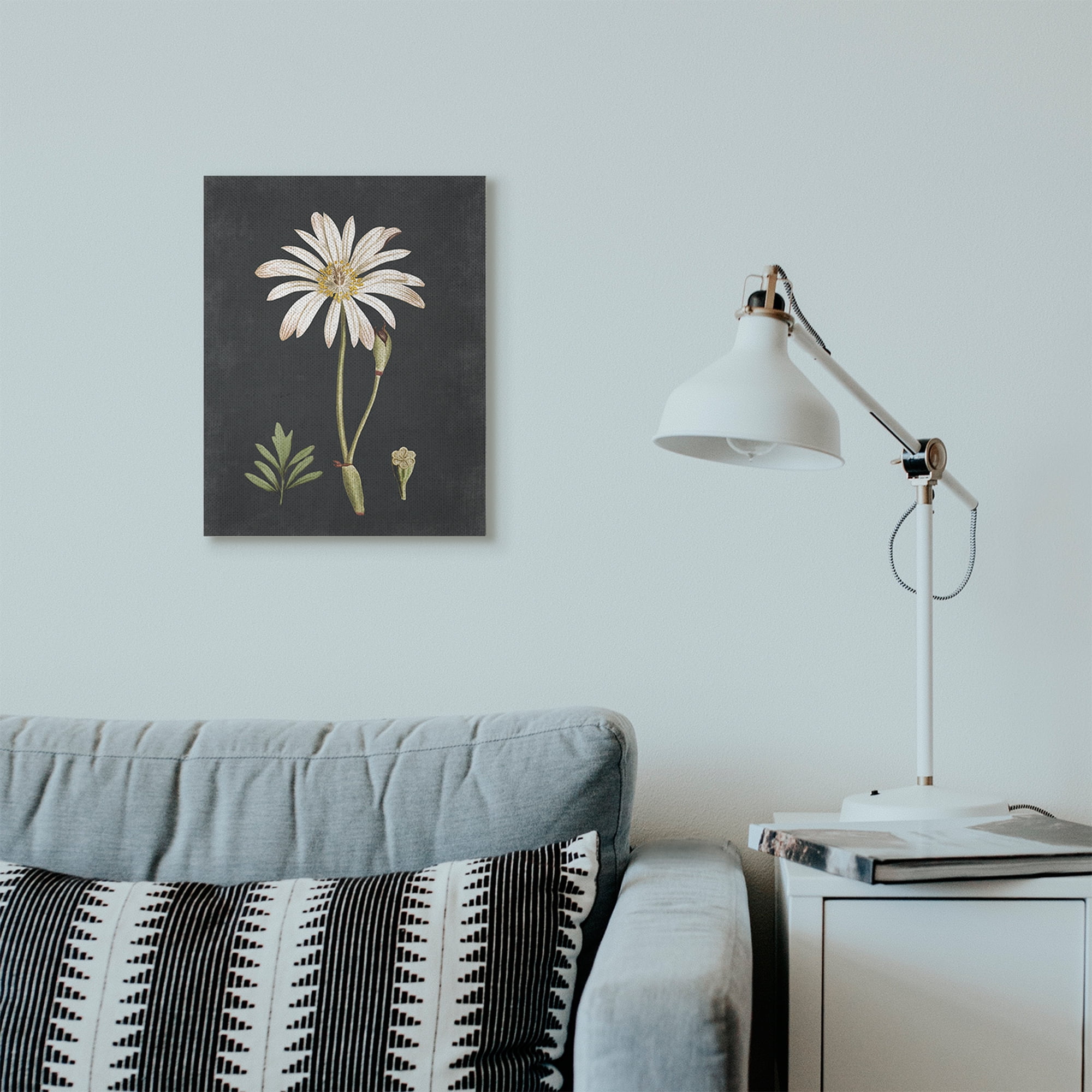 Stupell Industries Botanical Drawing White Flower On Black Design Canvas Wall Art by Lettered and Lined