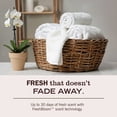thumbnail image 6 of Liquid Laundry Detergent 74 Loads - Rain Water - 64 fl oz: 64 Uses, Dye - Free, Paraben - Free, 6 of 9