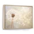 thumbnail image 2 of Designart "White Dandelion love expression IV" Floral Floater Framed Wall Art Living Room, 2 of 7
