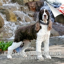 2025 2026 English Springer Calendar - Dog Breed Monthly Wall Calendar - 12 x 24 Open - Thick No-Bleed Paper - Giftable - Academic Teacher's Planner Calendar Organizing & Planning - Made in USA