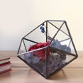 thumbnail image 3 of Planter Container, Geometric Terrarium, Unique For Succulents Moss Fern Plants, 3 of 8