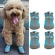 thumbnail image 1 of Pequeños Zapatos para Perros de Cachoro Ligeros al Aire Libre Botas Sin Deslizamiento Sin Deslizamiento Accesorylake Azul de 9holas Tamaña 1, 1 of 7