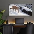 thumbnail image 5 of Epic Art 'Soft Snow-Cougar' by Ron Parker, Acrylic Glass Wall Art, 48"x24", 5 of 8