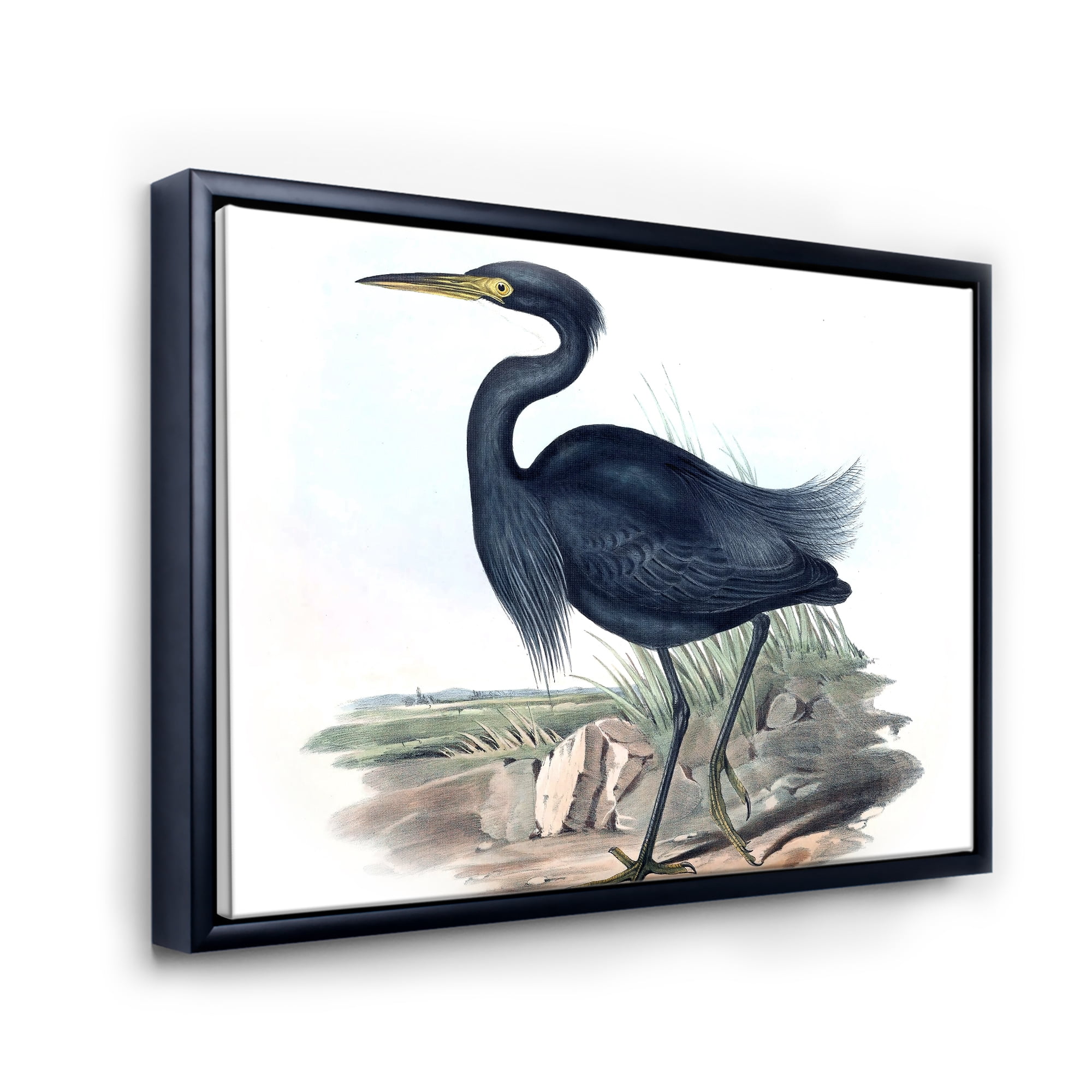 Designart 'Ancient Australian Birds III' Traditional Framed Canvas Wall Art Print
