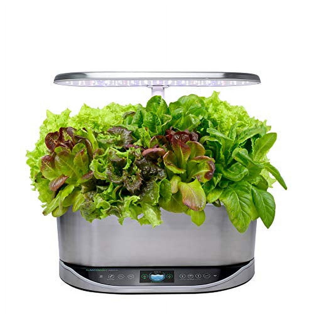YARDHAUS Crown Elite Mini – 4er-Set Für Lichterketten, Weiß, Einfache Montage Ohne Kabelbinder