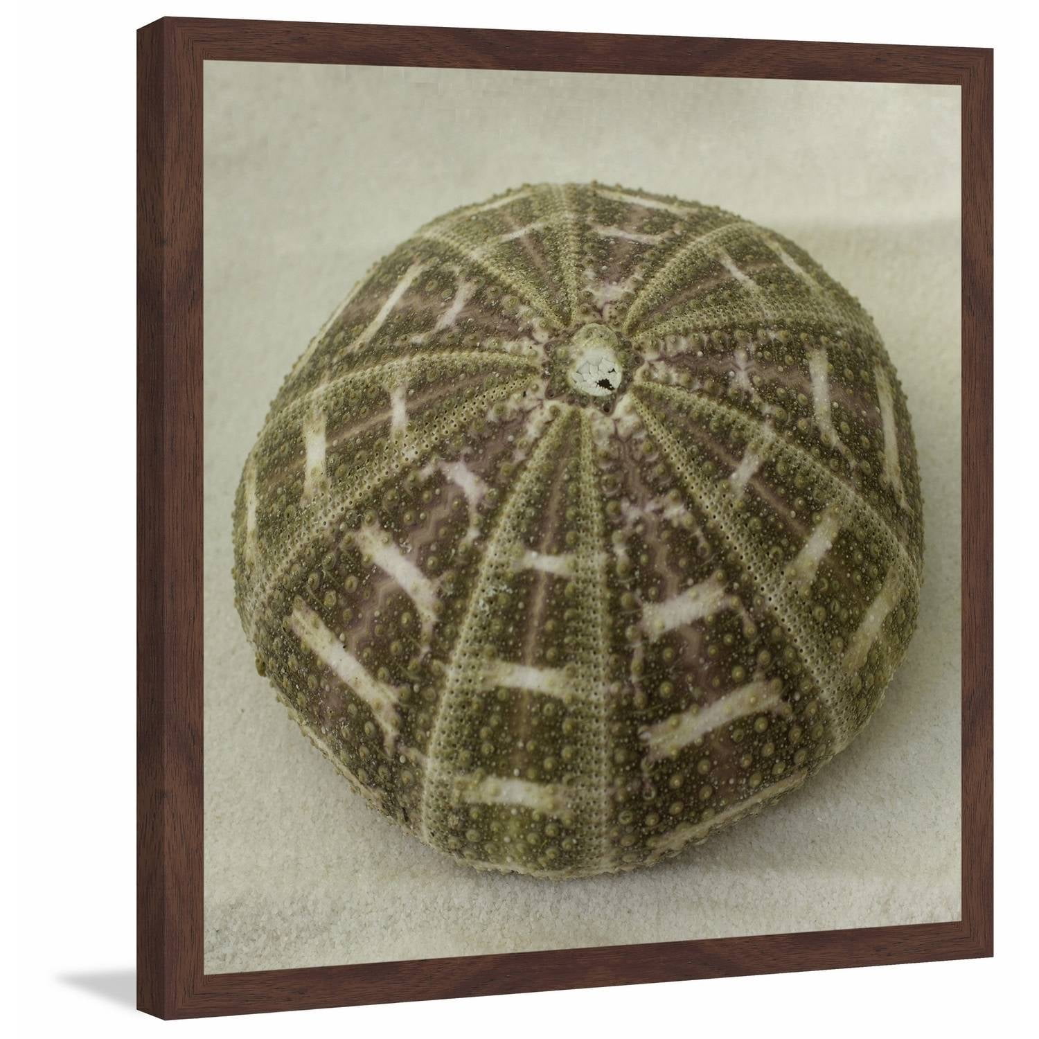 Shades of Green II Framed Painting Print