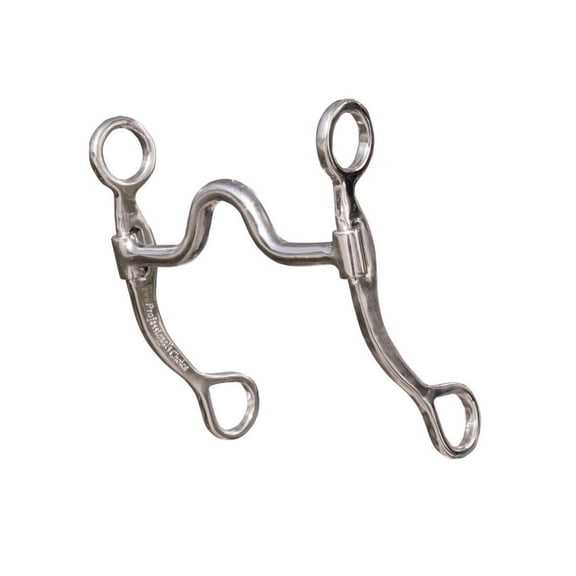 Professionals Choice Bit Bilot Medium Correction Iron EQB-803