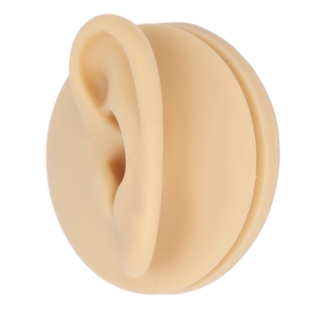 Modèle d'Oreille Humaine de Simulation, Modèle d'Oreille Professionnelle Douce pour la Démonstration d'Enseignement
