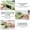 Seaweed Green, variant on ENYOUNG Ocean Wave Projector Vinyl Record Player White Noise Machine Sound Relaxation Speaker, Seaweed Green (6.7 x 5.9 x 3.1 Inches / 17.0 x 15.0 x 8.0 cm)
