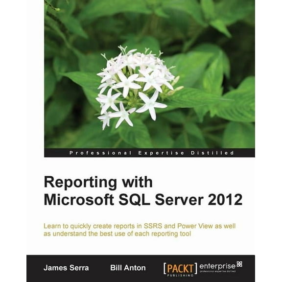 Professional Experience Distilled: Reporting with Microsoft SQL Server 2012 (Paperback)