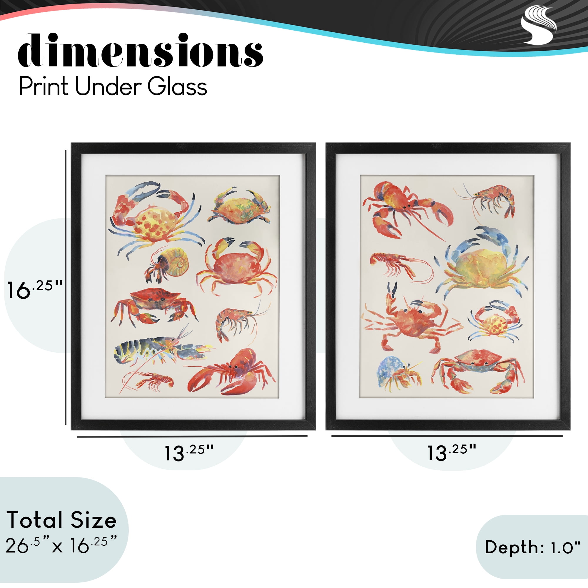 Stupell Industries Aquatic Crustacean Collection 2 Piece Black Framed Print Under Glass Set, design by June Erica Vess