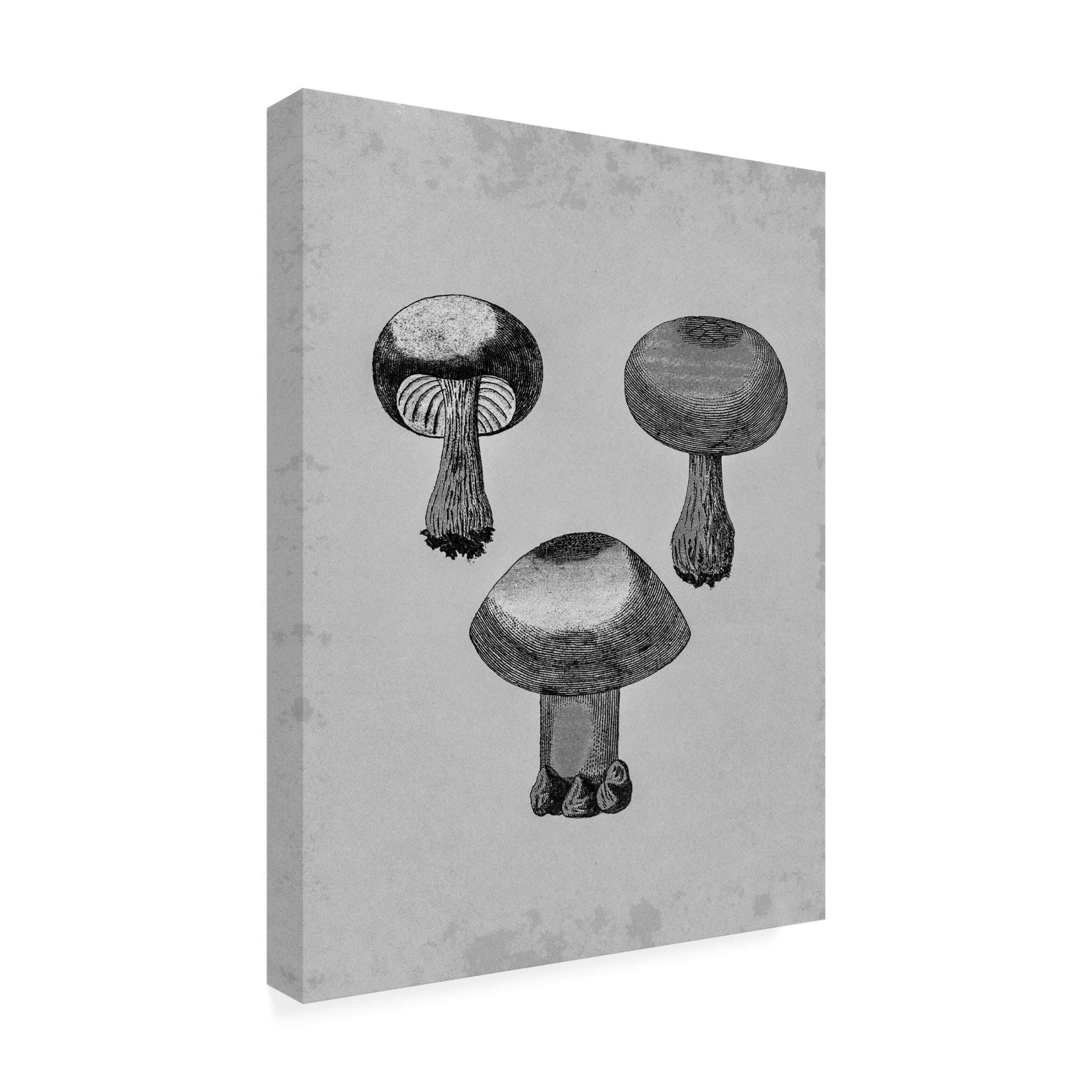 Trademark Fine Art Pictufy Violet Webcap Mushroom Canvas Wall Art