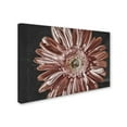 thumbnail image 2 of Trademark Fine Art "Silvery Pink" Canvas Art by Lois Bryan, 2 of 3