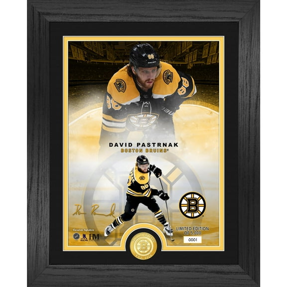 Highland Mint David Pastrnak Boston Bruins 13" x 16" Legends Bronze Coin Photo Mint