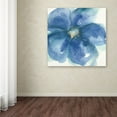 thumbnail image 3 of Trademark Fine Art 'Indigo Mint IV' Canvas Art by Chris Paschke, 3 of 3