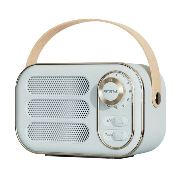 Birdeem Haut-Parleur Bluetooth Radio Fm Mini Portable Multifonction Usb Tf AUX Intérieur Extérieur Design Rétro Haut-Parleur Sans Fil