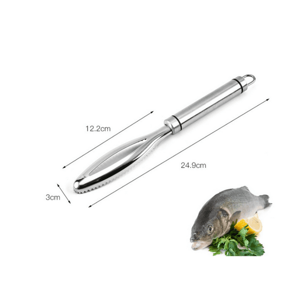 Brosse à peau de poisson grattage échelle de pêche brosse râpes à enlever  rapidement couteau à poisson nettoyage éplucheur détartreur grattoir outils  de cuisine 