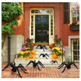 thumbnail image 2 of Halloween Spider Decorations Realistic Hairy Spiders Creepy Decor(75CM), 2 of 4