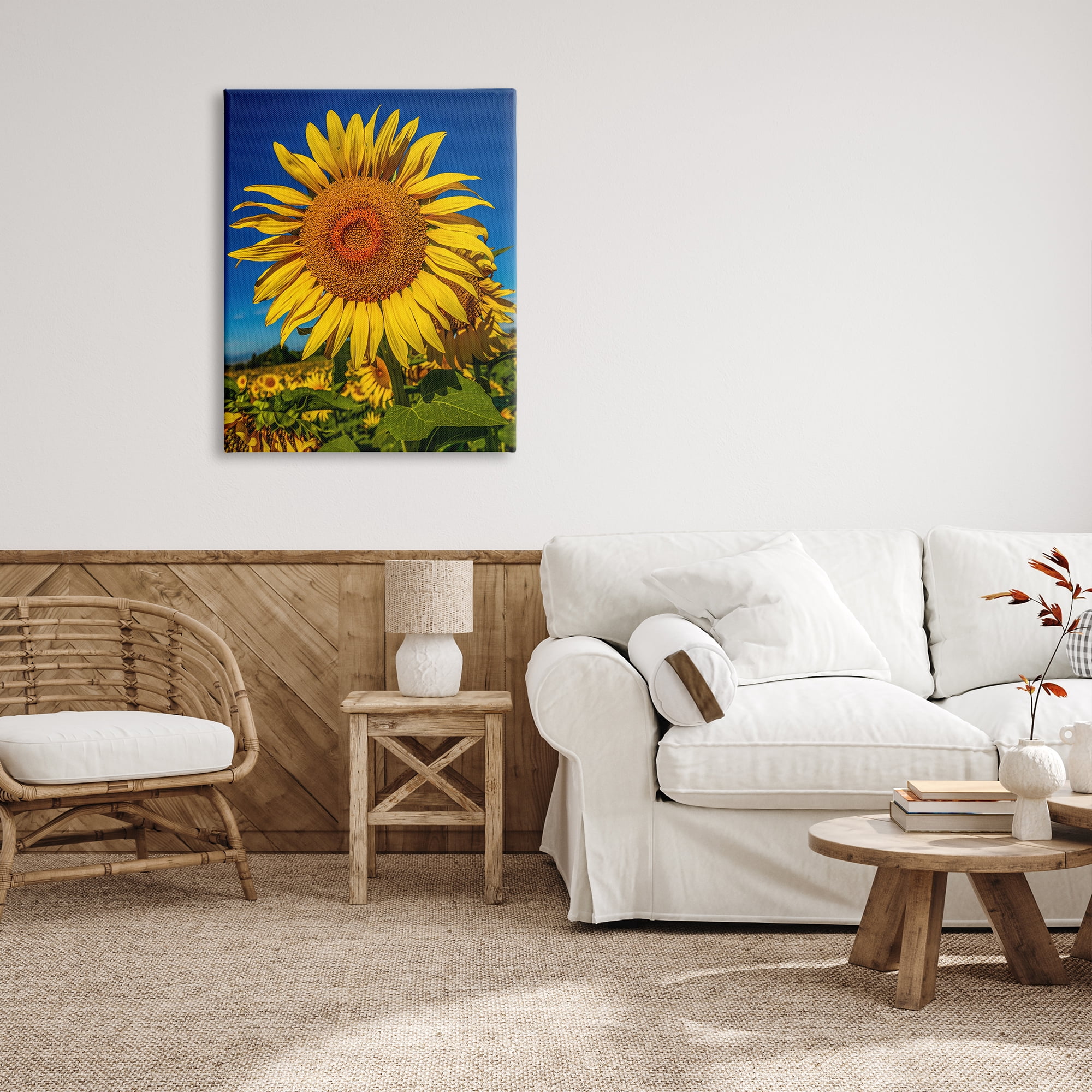 Stupell Industries Summery Sunflower Plant Blooming Summertime Clear Sky Photograph Gallery Wrapped Canvas Print Wall Art, Design by Steve Smith