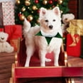 thumbnail image 3 of Festive Holiday Pet Neck Scarf Dress Up Accessory for Cats and Dogs with Adjustable Collar Design, 3 of 5