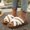 Brown, variant on Women's Contrast Cross Strap Fluffy Faux Fur Open Toe Slippers, Thick Platform Non Slip Warm Indoor Winter Slide Shoes